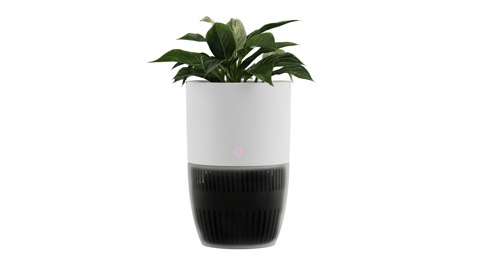 Purificateur d’air Bloom™