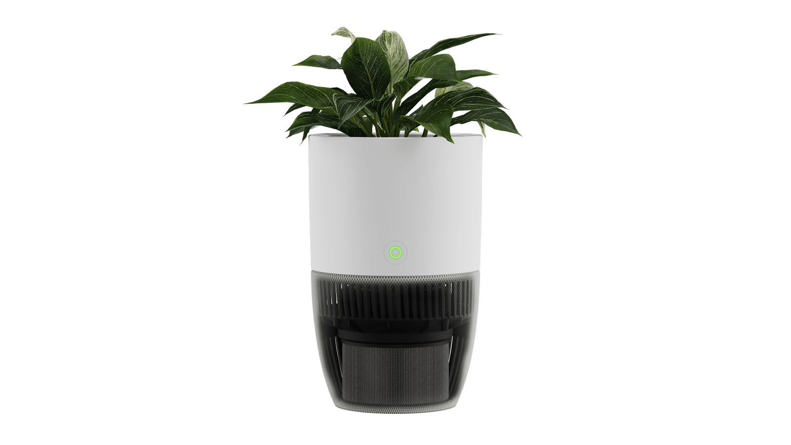 Purificateur d’air Bloom™