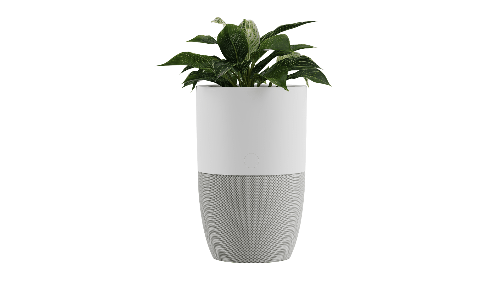 Bloom™ Air Purifier
