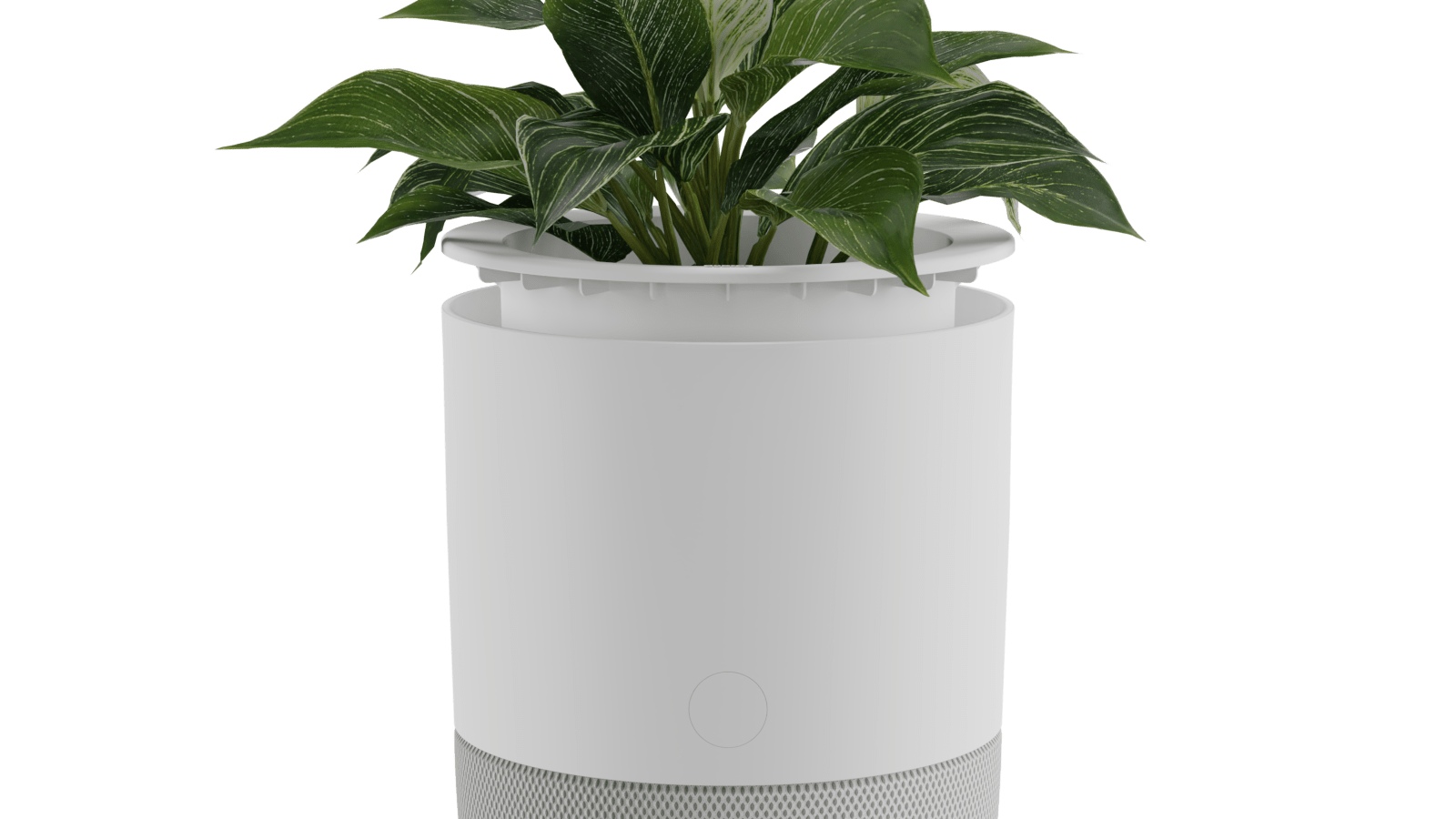 Bloom™ Air Purifier