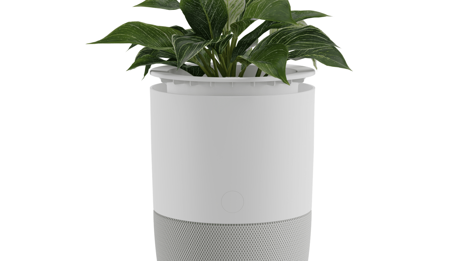 Purificateur d’air Bloom™