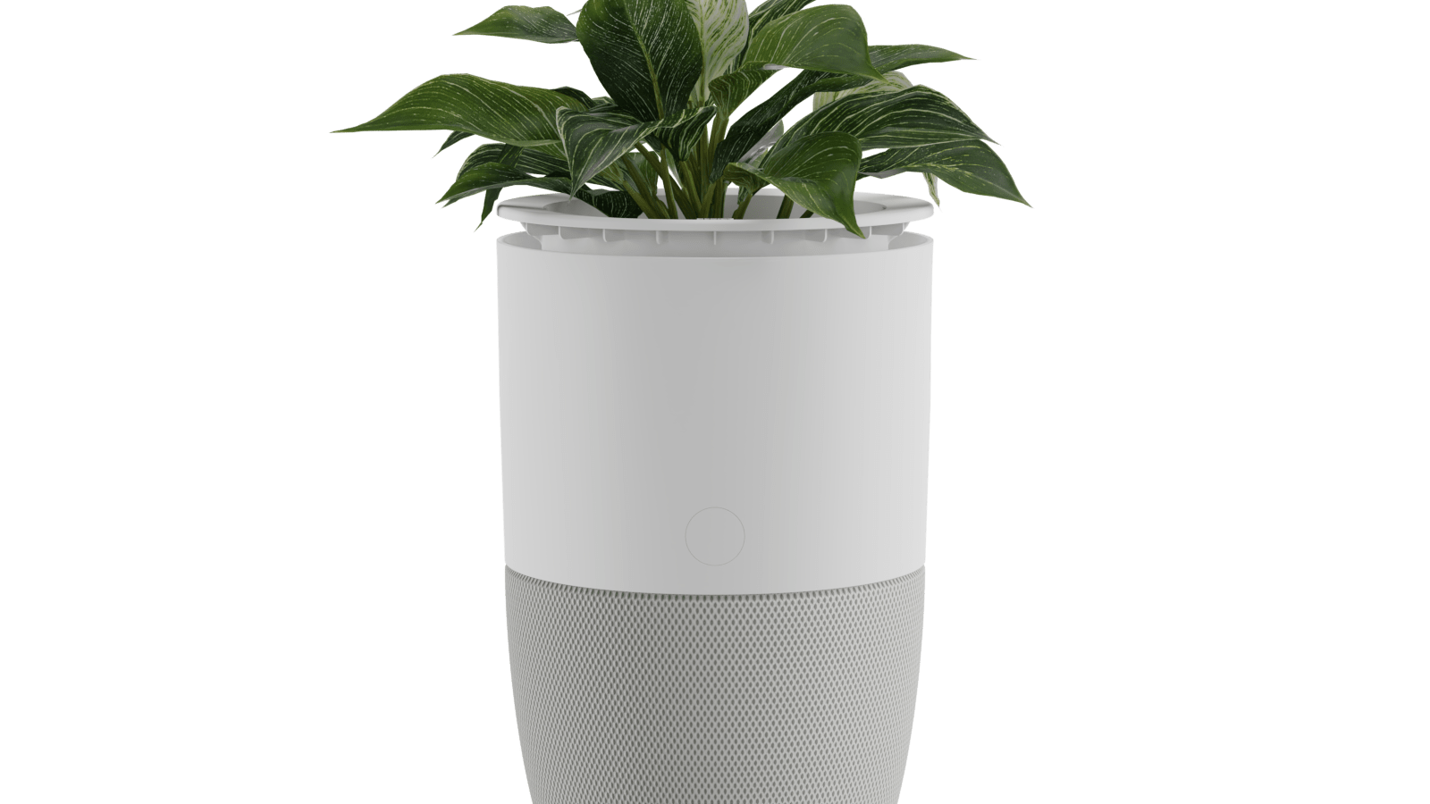 Purificateur d’air Bloom™