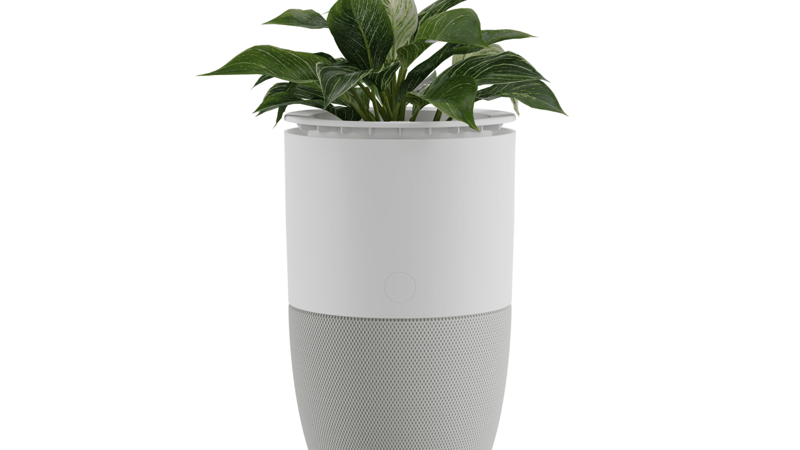 Purificateur d’air Bloom™