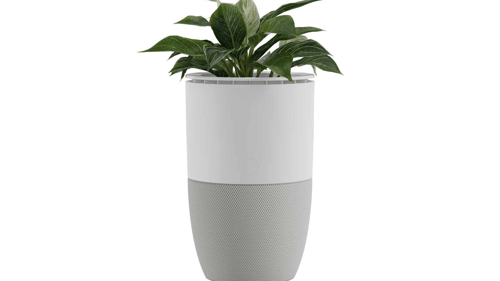 Purificateur d’air Bloom™