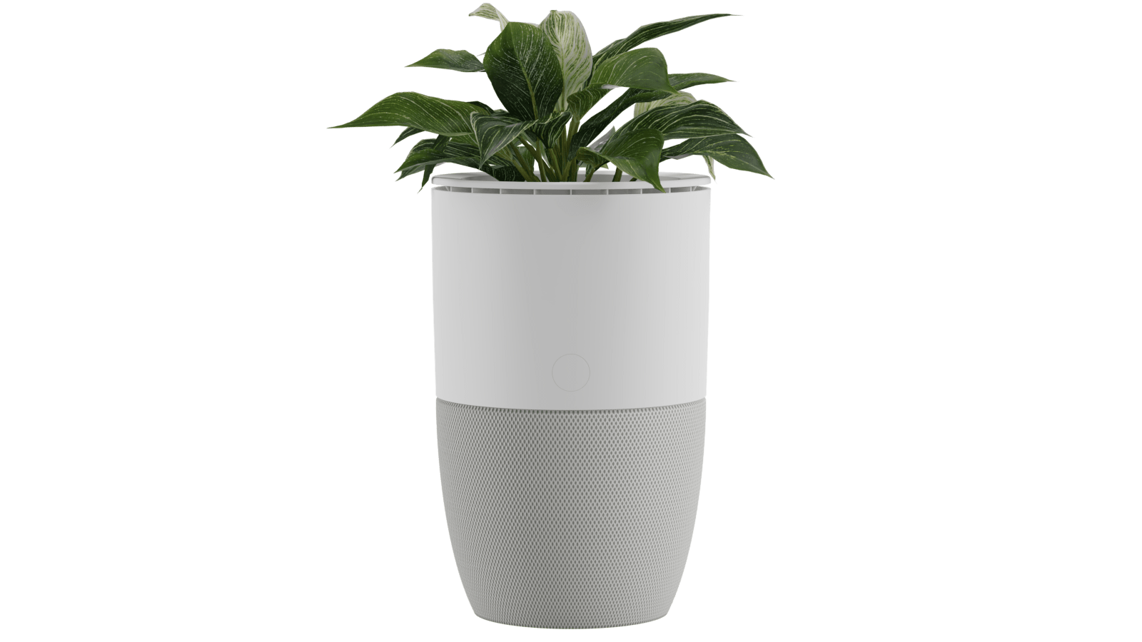 Purificateur d’air Bloom™