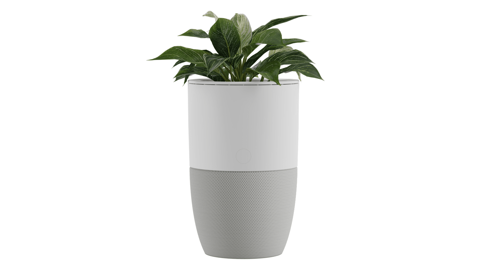 Purificateur d’air Bloom™