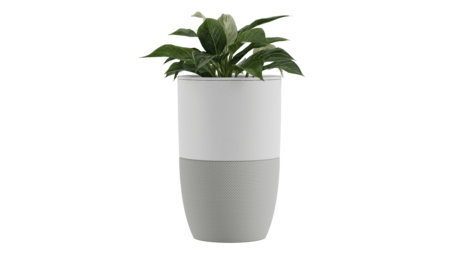 Purificateur d’air Bloom™