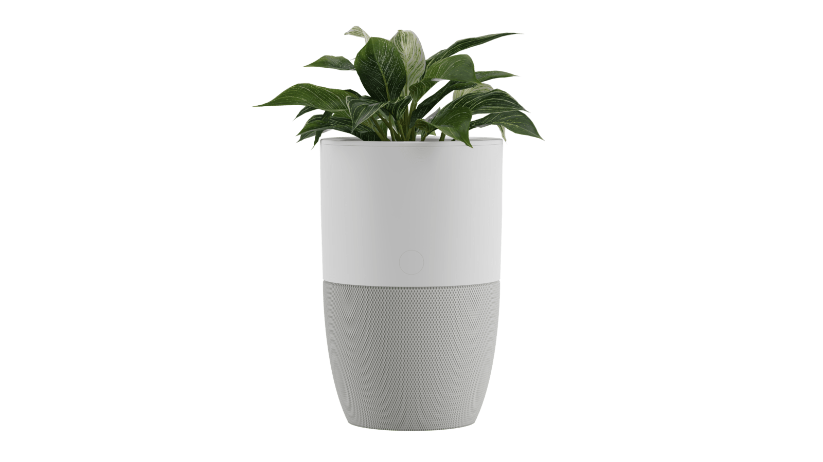 Purificateur d’air Bloom™