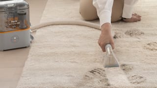 Best Steam Cleaners, Air Purifiers and Spot Cleaners | Dupray US Best Steam Cleaners, Air Purifiers and Spot Cleaners | Dupray US