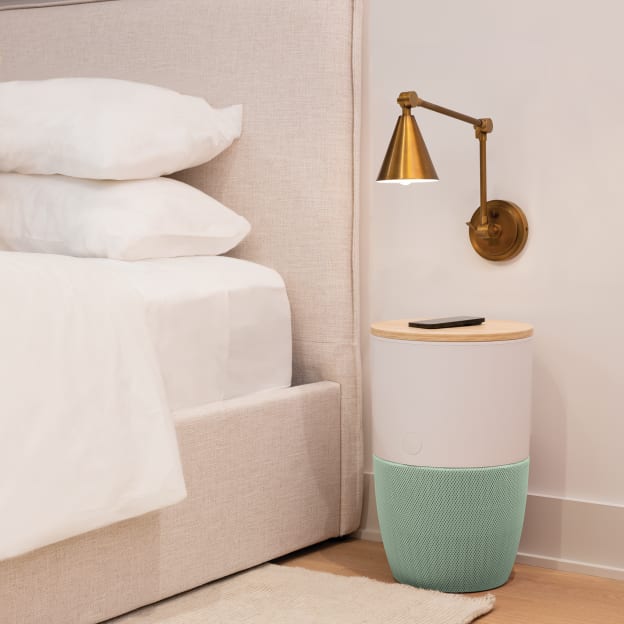 Purificateur d’air Bloom™