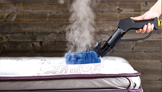 Clean your mattress.