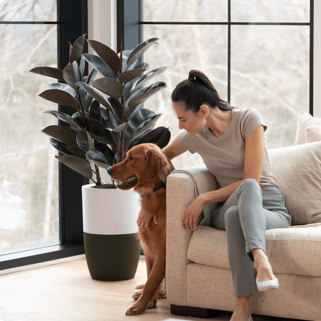 Steam smarter: tips, product updates & exclusive offers