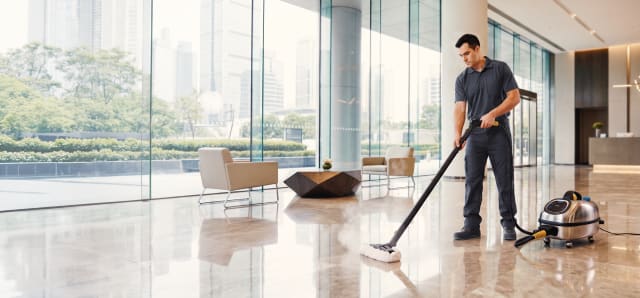 Pro-grade steam cleaning