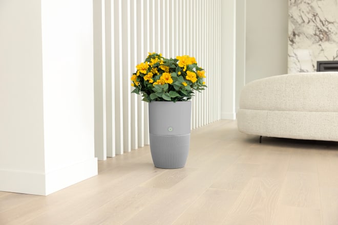 Bloom™ Air Purifier - Grey Special Edition