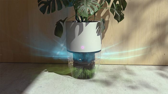Air Purifiers
