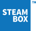 Steam Box™ Steam Cleaner