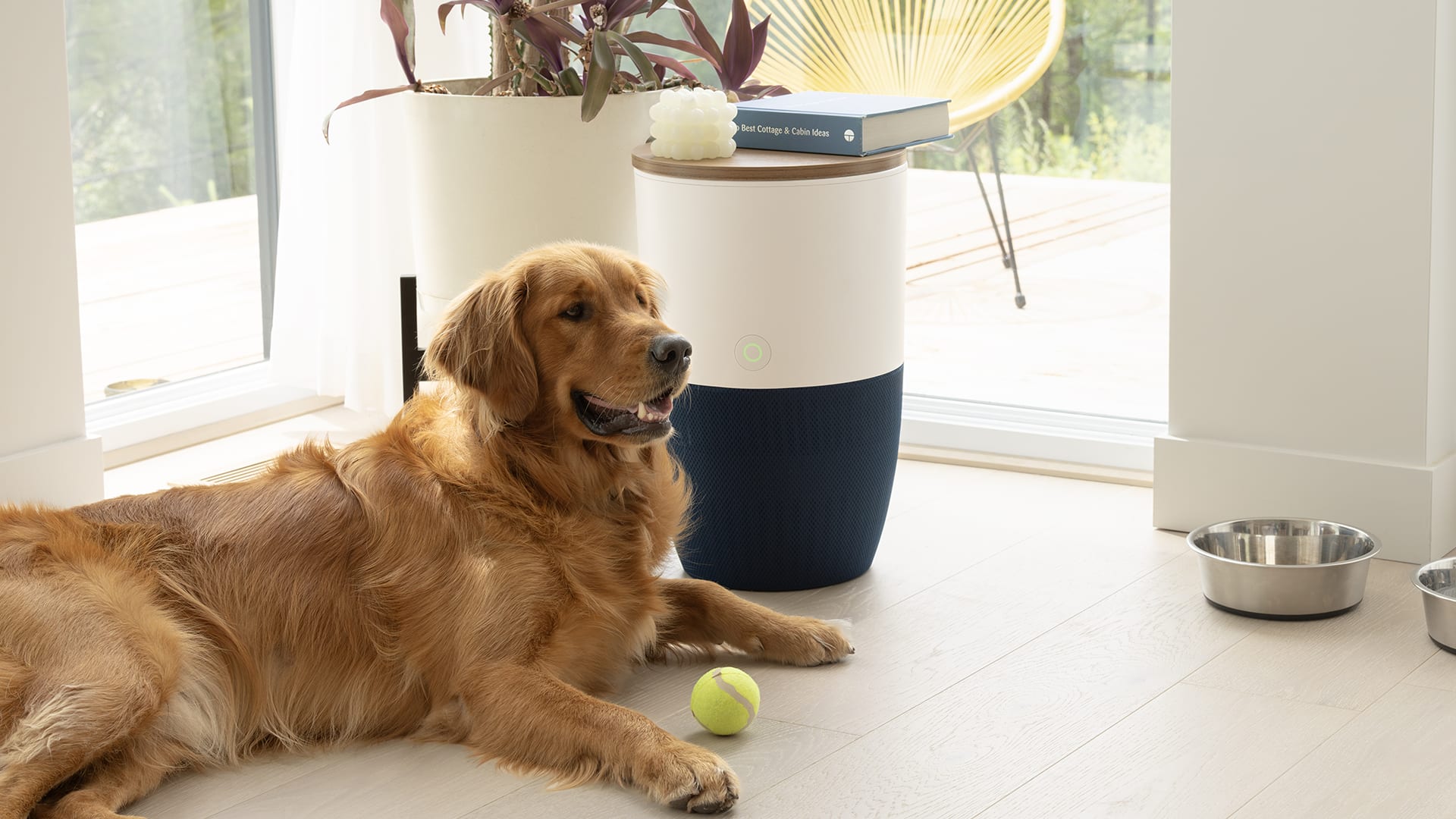 Air Purifiers | Dupray US Air Purifiers | Dupray US