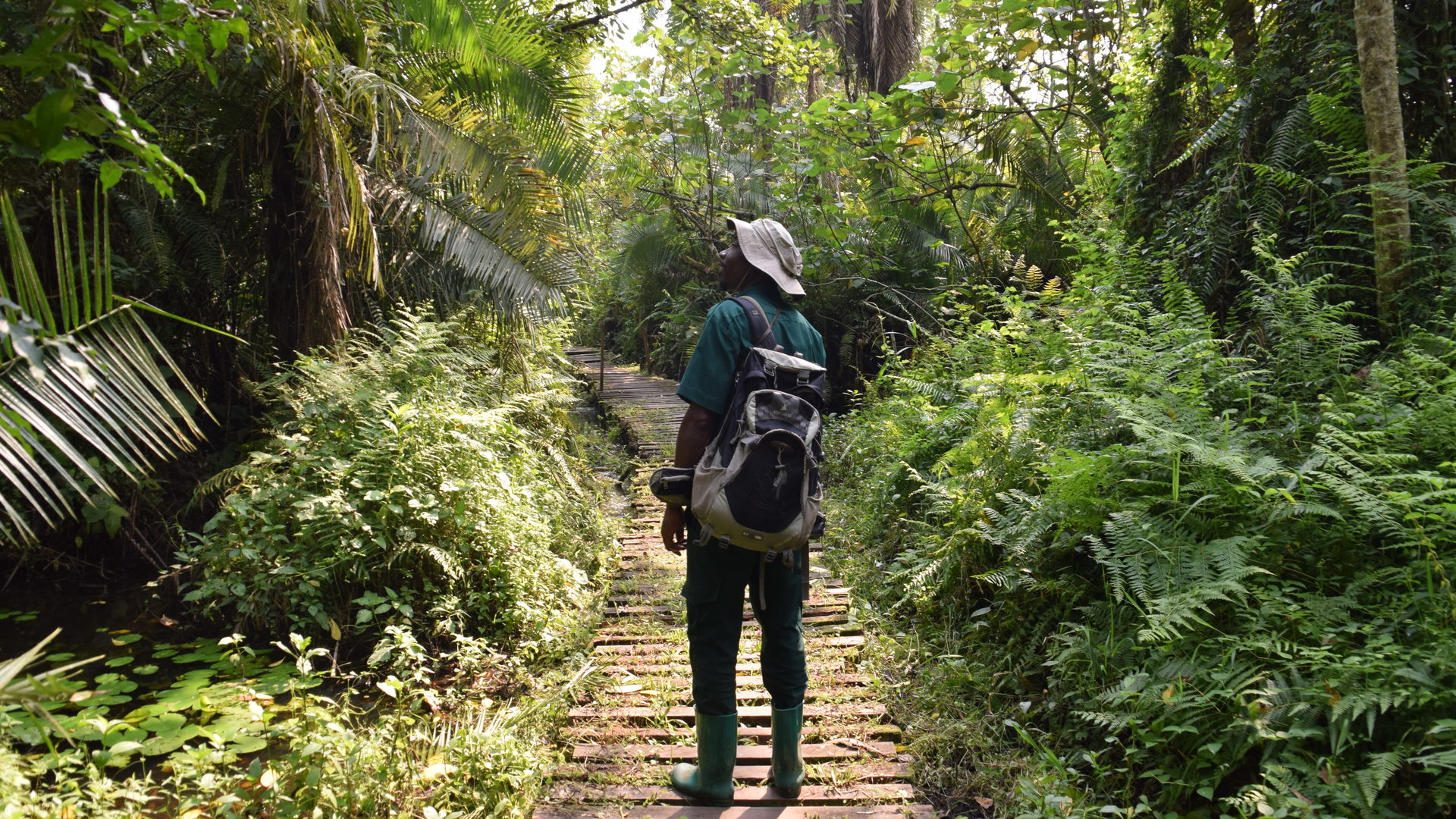 Day 1: Visit Kigali and Drive to Gorilla Forest in Uganda