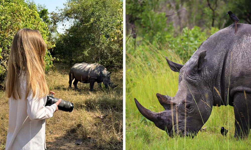 7 Day Murchison & Kibale Safari