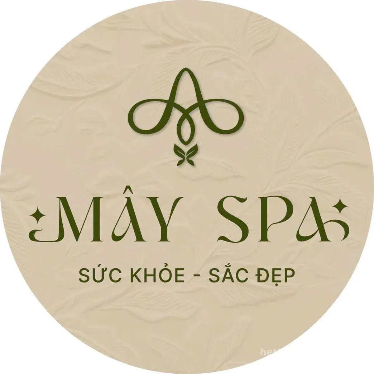 Mây Spa - Chuyên trị đau vai 91/7 Lý Thái Tổ logo