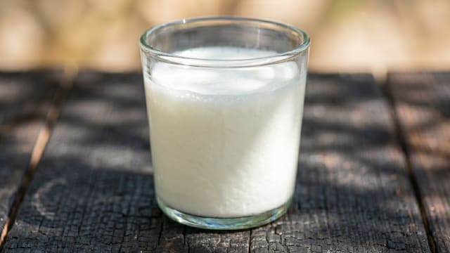 Chalap (Salted Kefir Drink)