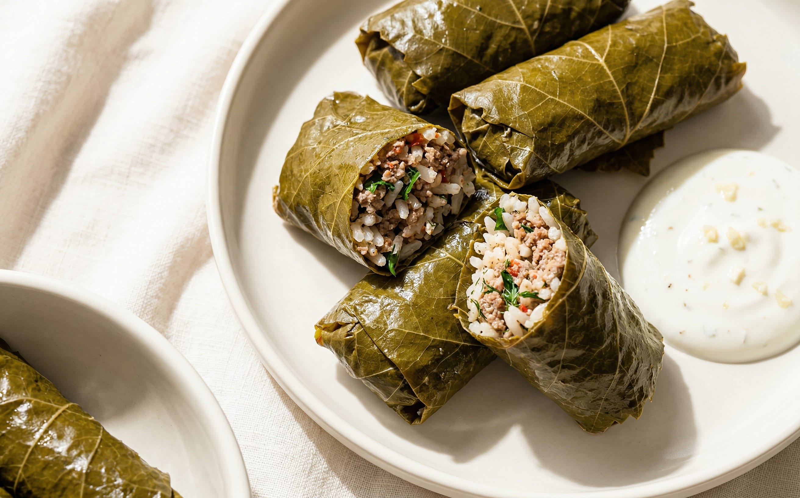 Tolma (Stuffed Grape Leaves with Yogurt Sauce)
