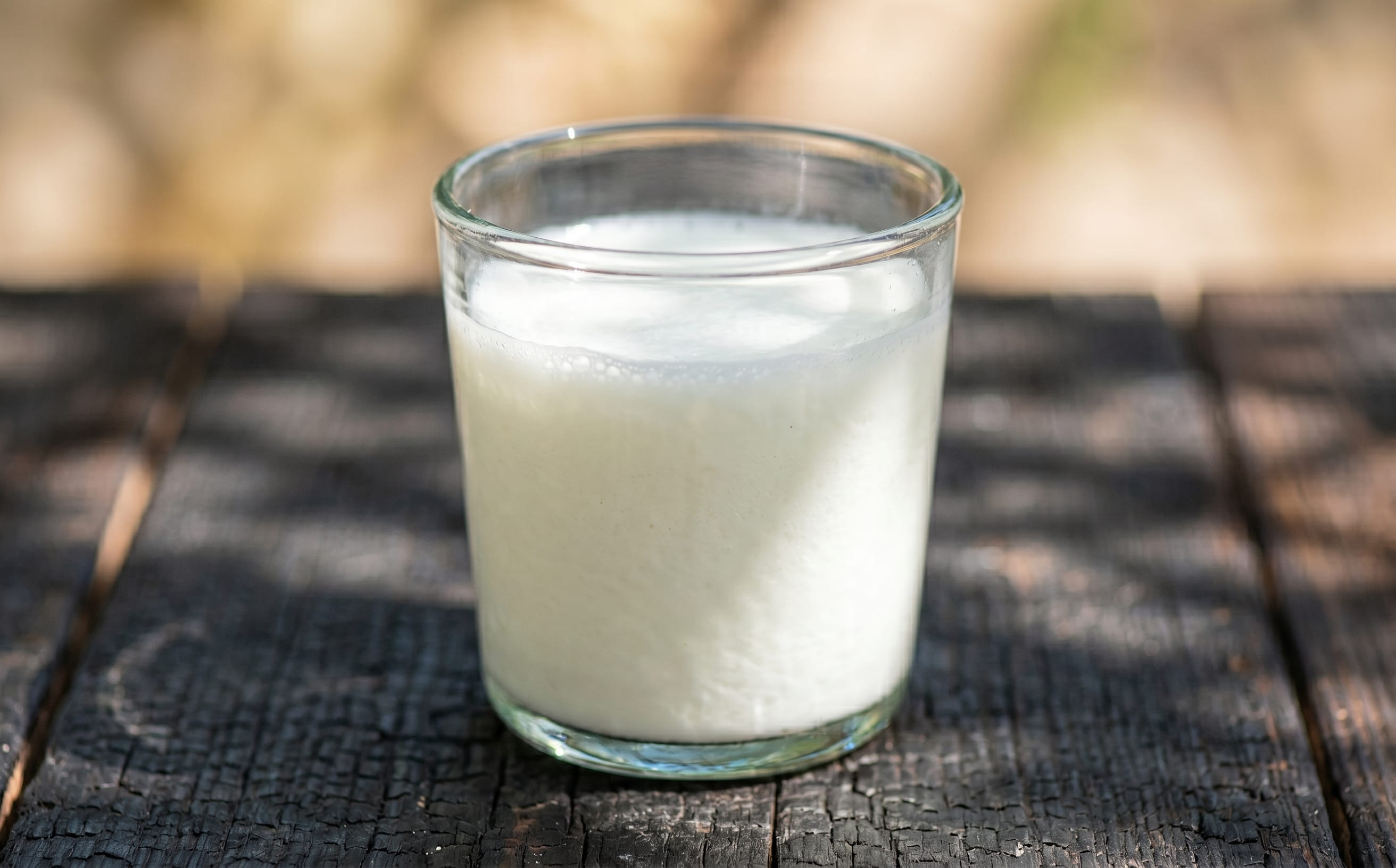 Chalap (Salted Kefir Drink)