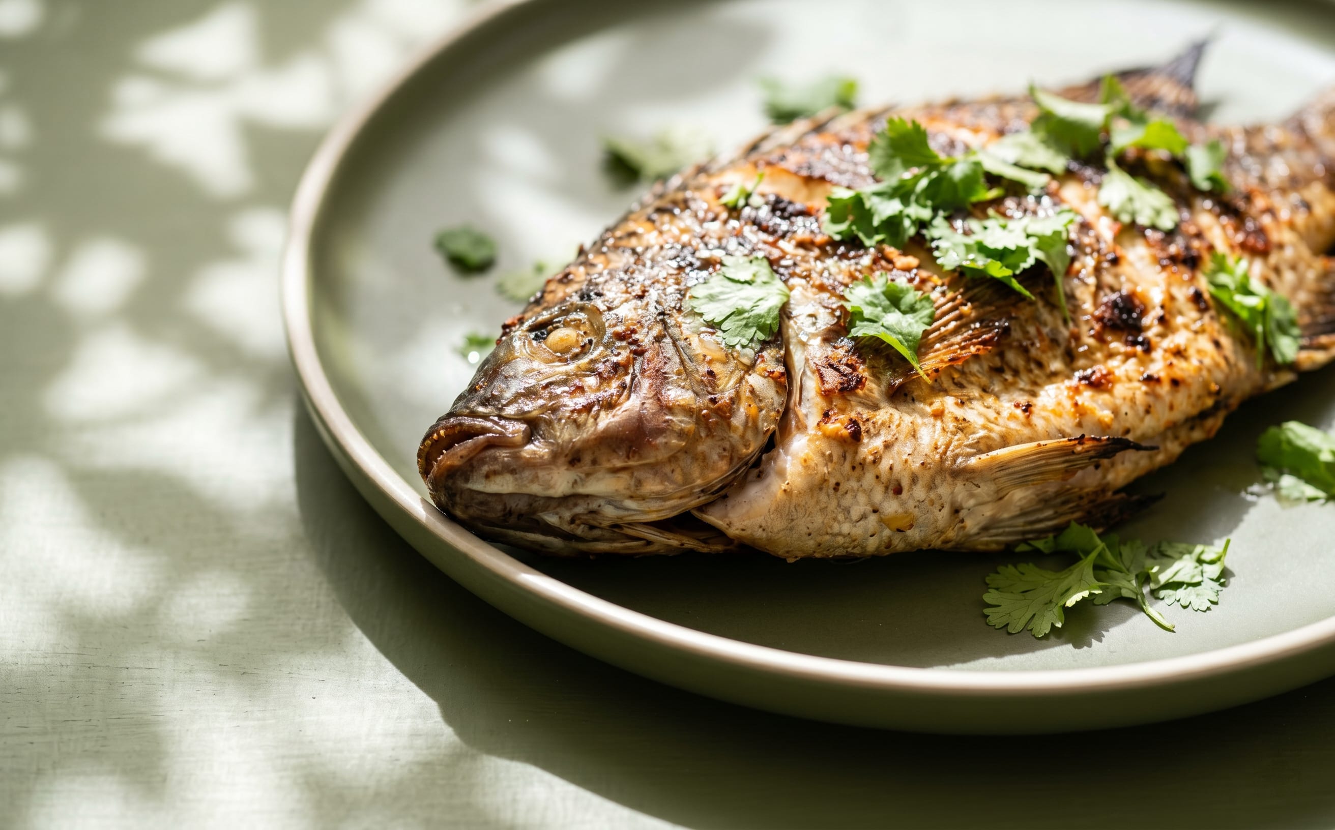 Grilled Tilapia with Lemon and Coriander