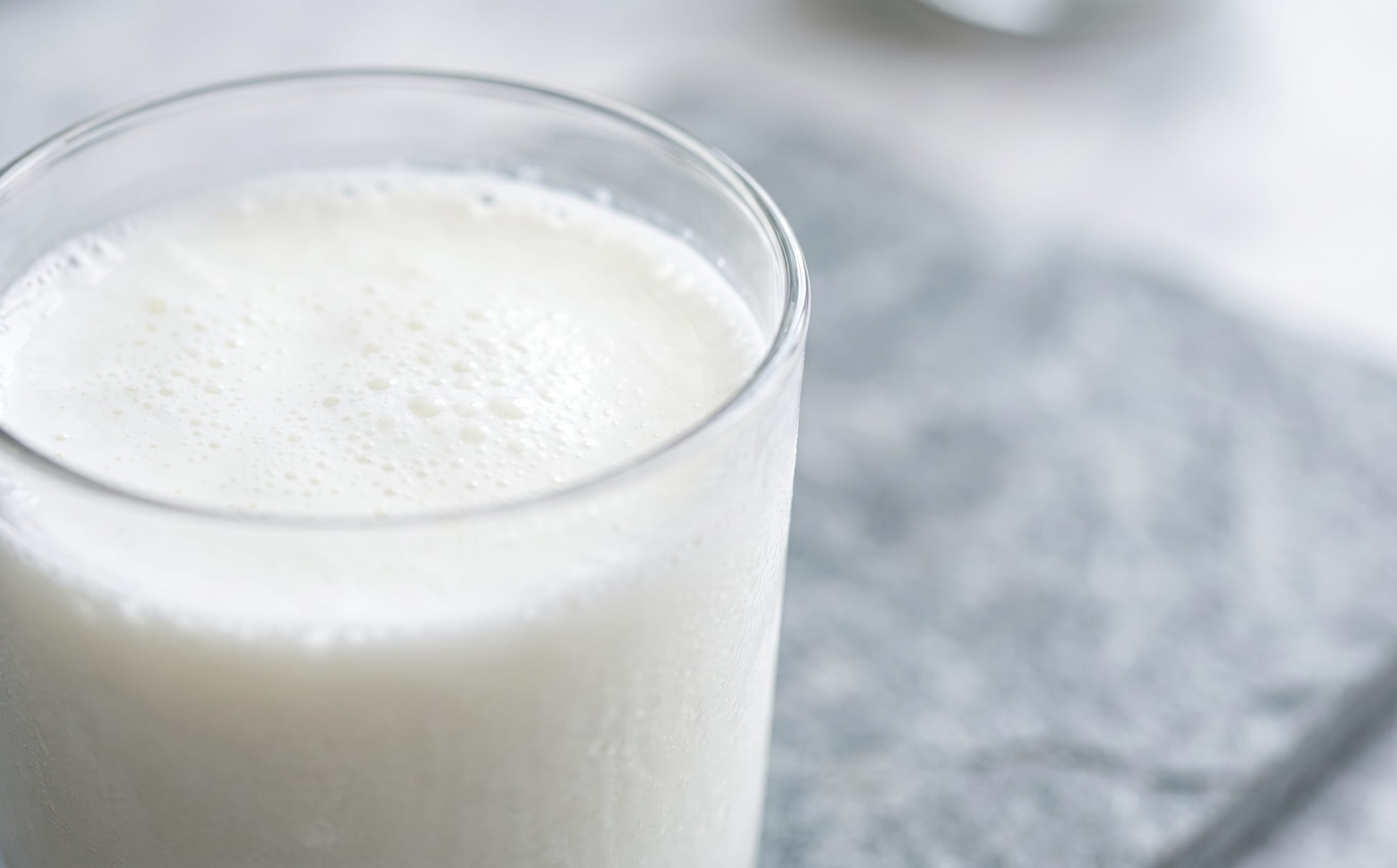 Chal-Style Salted Fermented Milk Drink