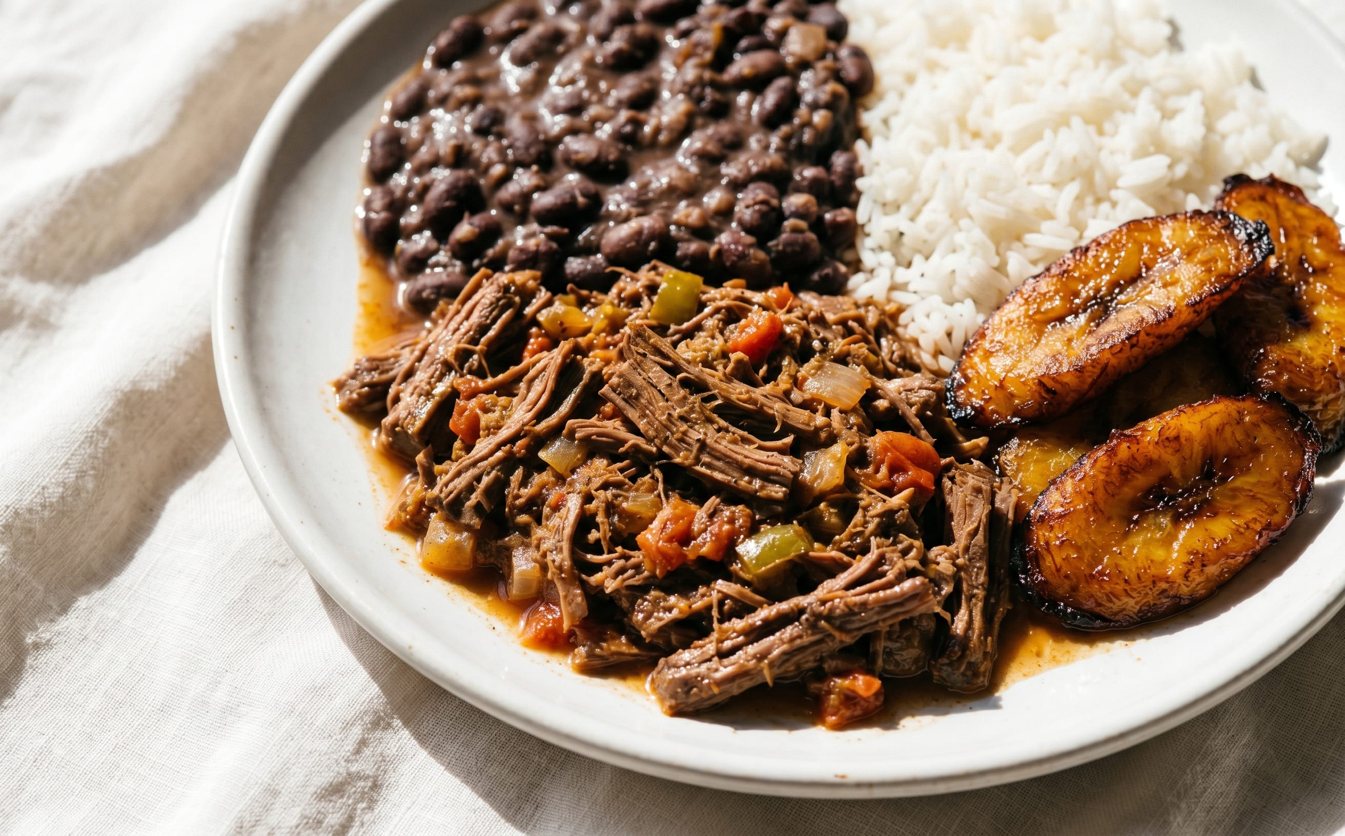 Pabellón Criollo (Shredded Beef, Black Beans, Rice, and Plantain)