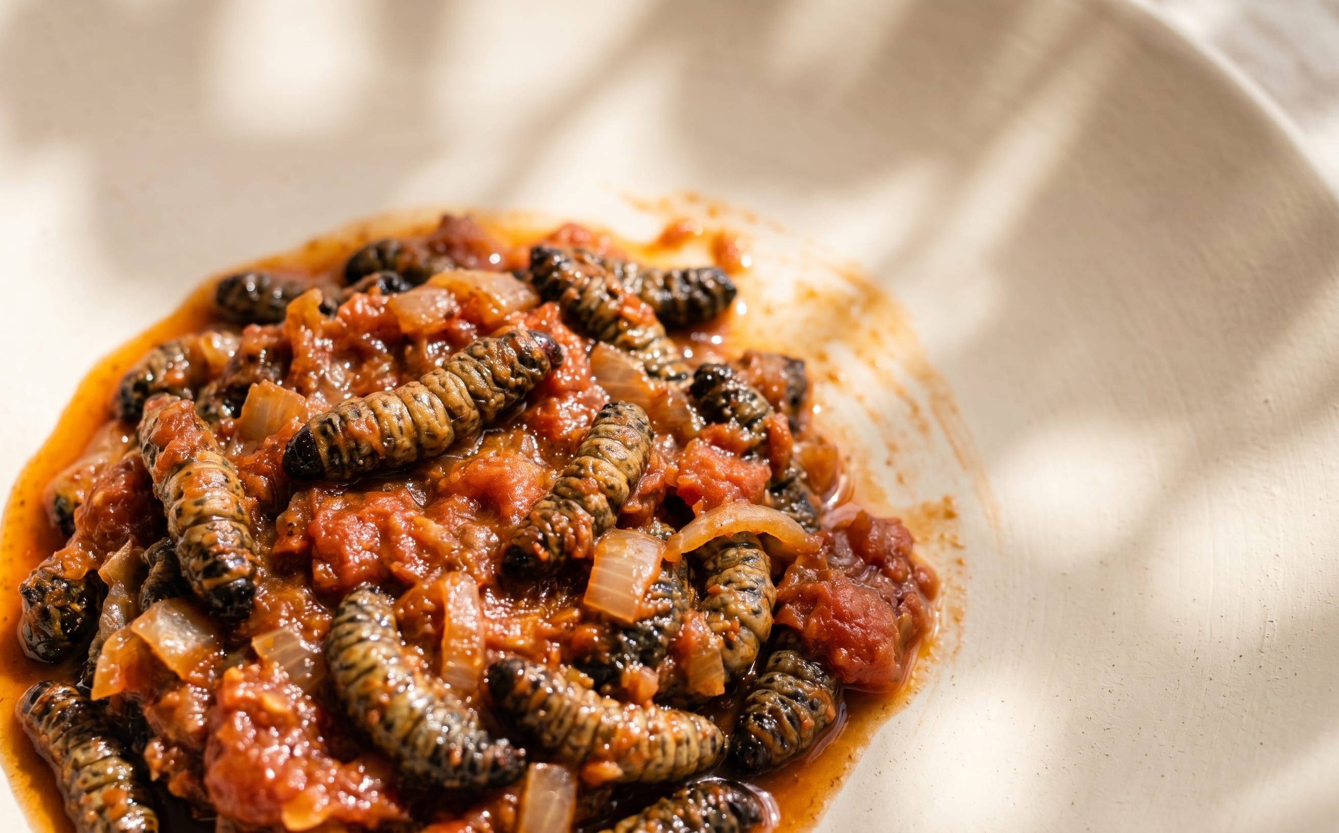 Madora (Mopane Worms in Tomato Sauce)