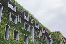 Nouveau Projet !🌱Un  Écoquartier en Paille (NIORT) 2025
