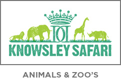 Knowsley Safari