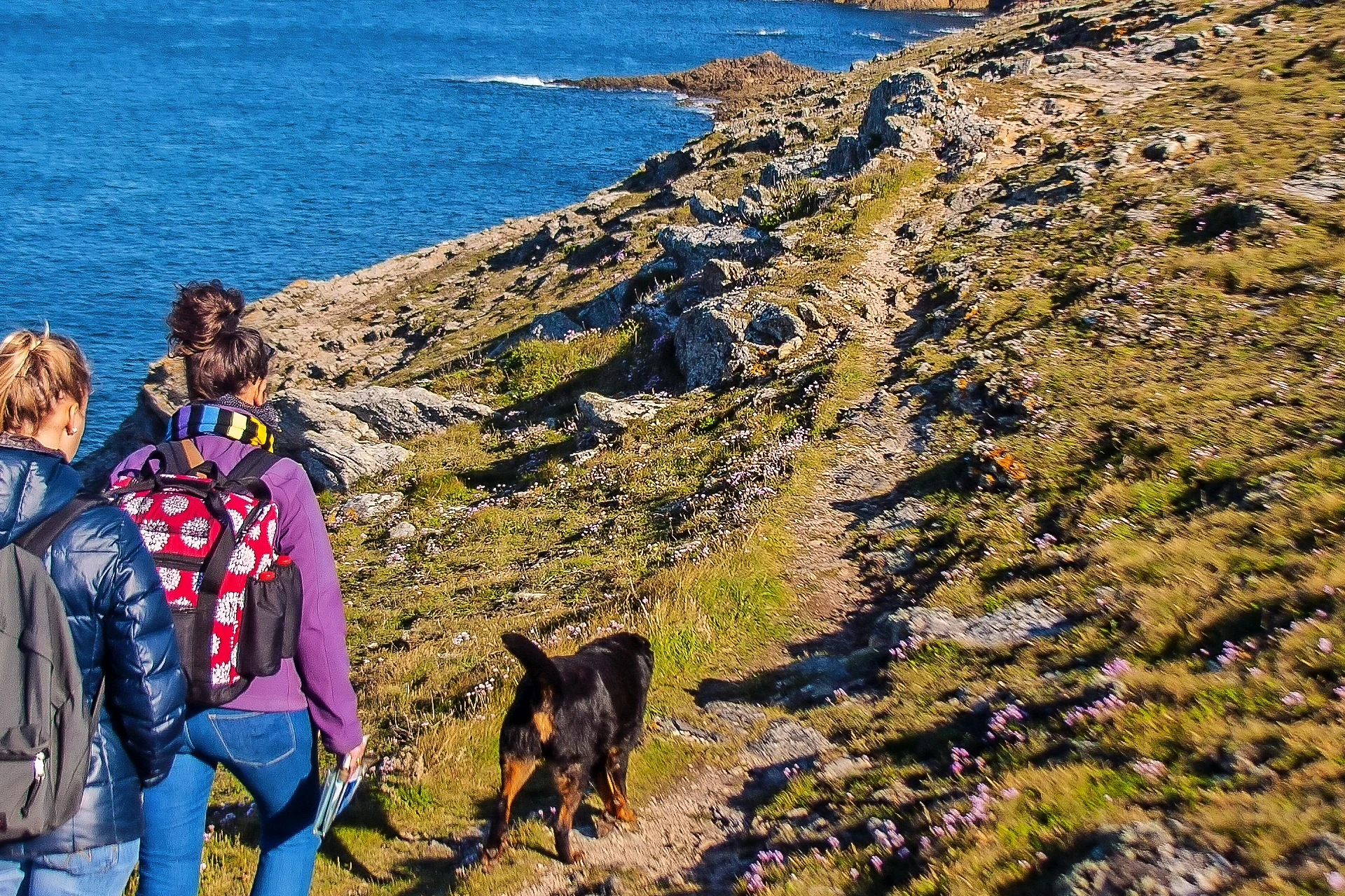 Wandern an der Rosa Granitküste in der Bretagne - Côte de Granit Rose.