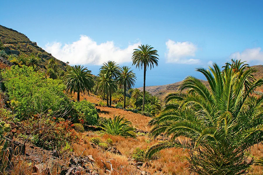 Typische Landschaft, La Gomera.