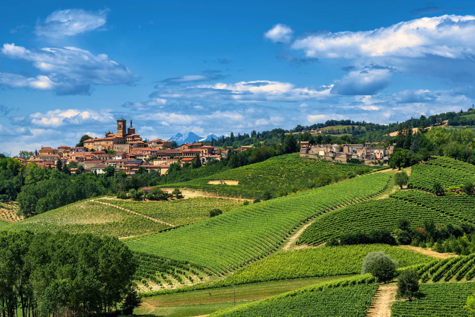 Italienische Landschaft mit Dorf und Weinbergen.
