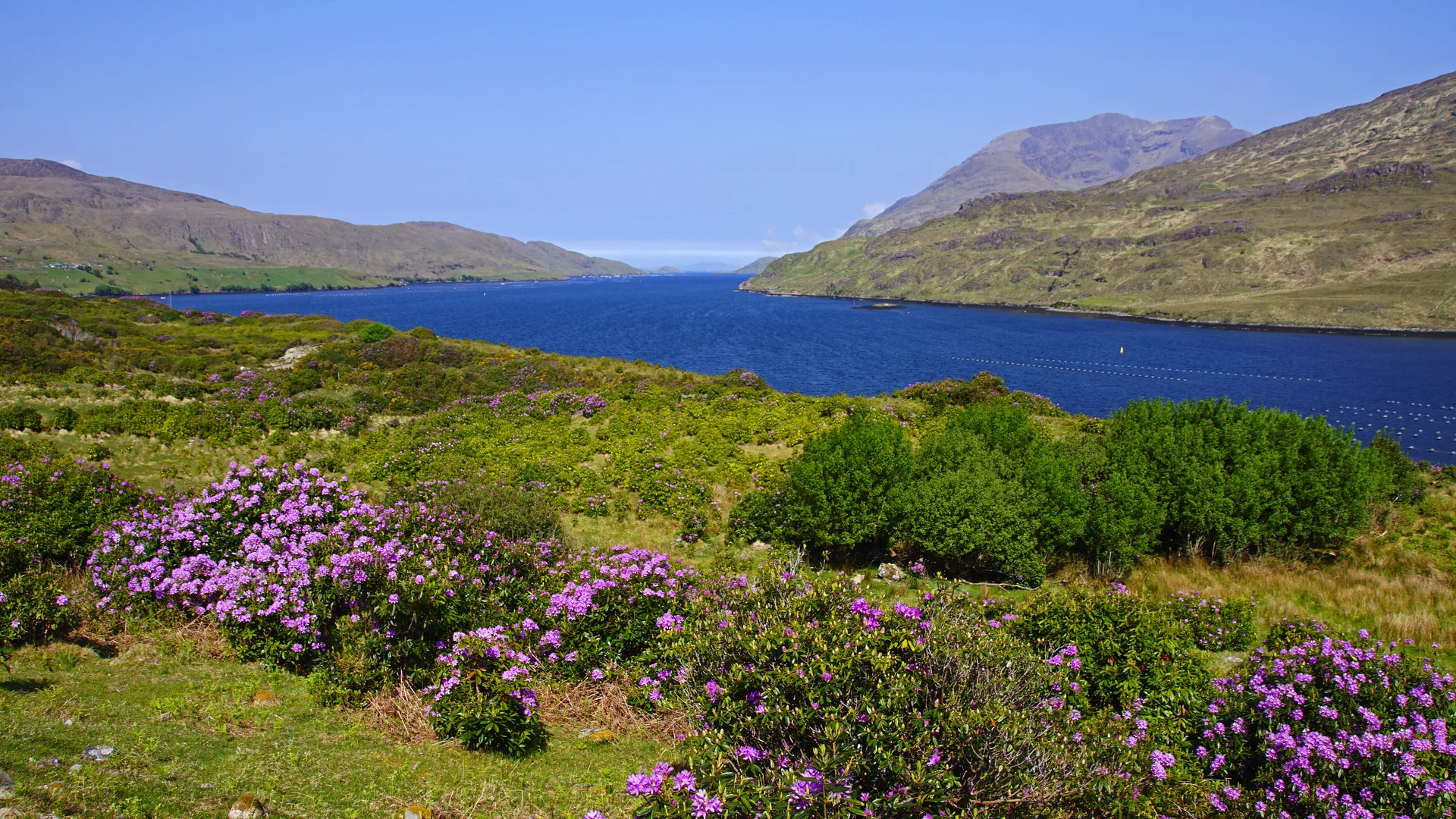 Wild Atlantic Way