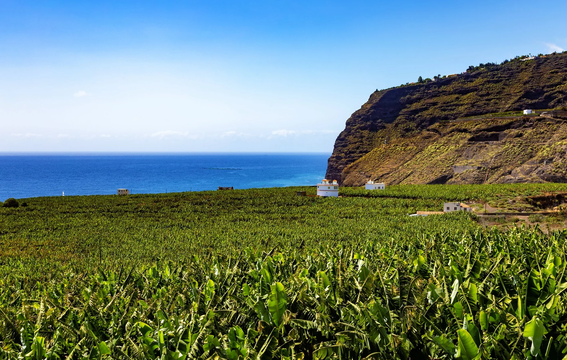 Wandern auf der fruchtbaren Insel La Palma, Kanarische Inseln, Spanien