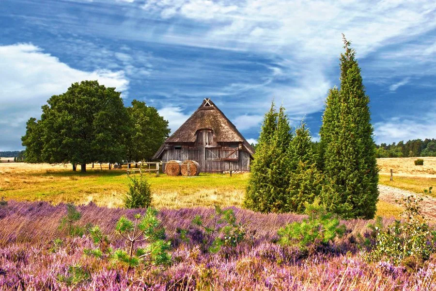 Wanderferien in der typischen Heidelandschaft. 