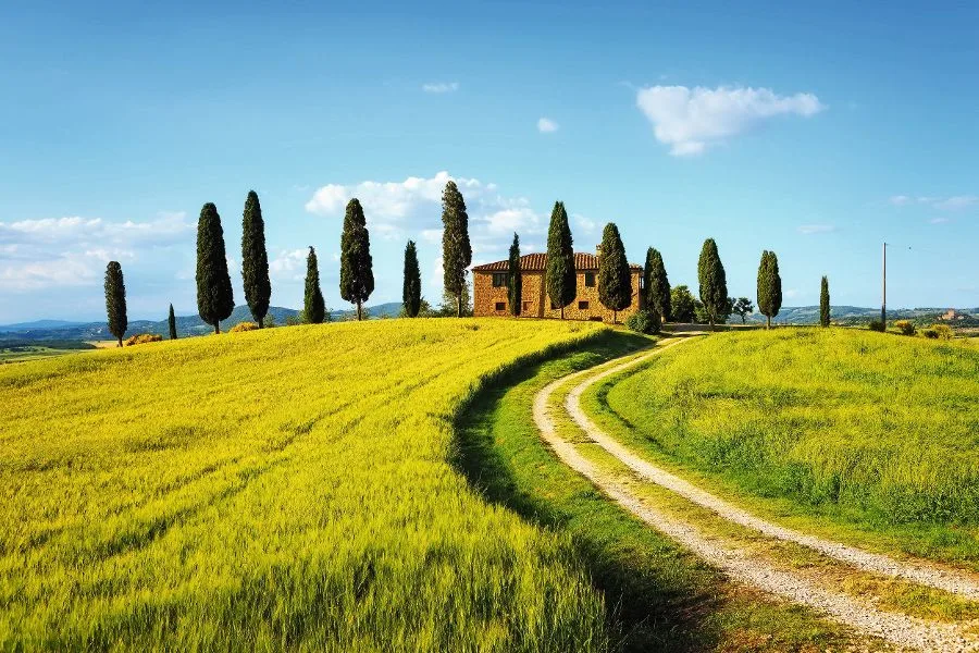 Toscana, Ackerland, Zypressen, Siena, 529.