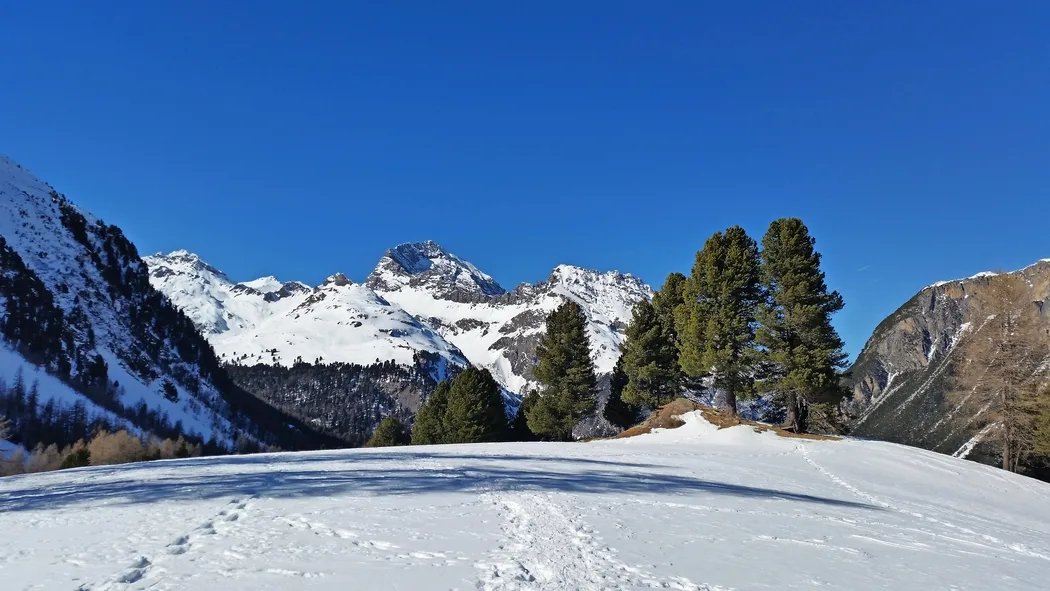 Schneeschuhtrail Palpuognasee bei Bergün.