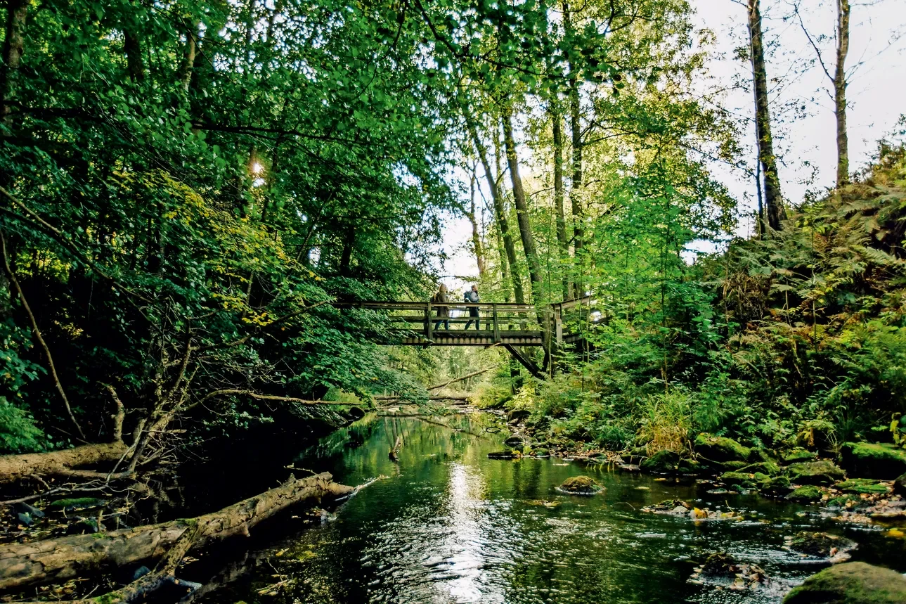 Individuelle Wanderreise Südschweden.