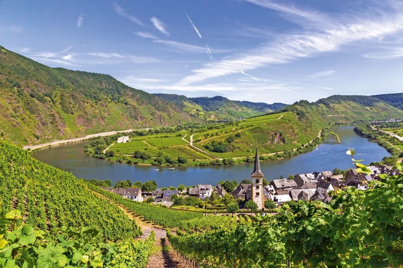 Weinberge und Dorf an einer Flussbiegung unter blauem Himmel.