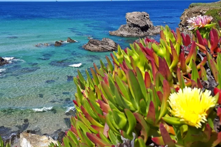 Individuelle Gravelbike Reise entlang der portugiesischen Küste