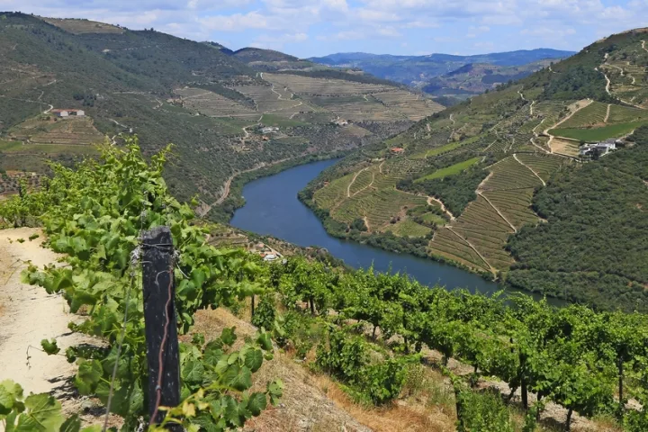 Dourotal - Weingebiet und Flusslandschaft im Herzen Portugals.