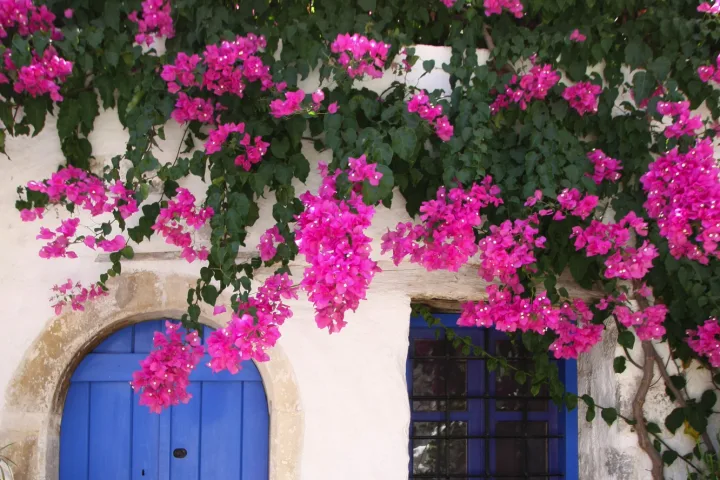 Wanderreise Kretas bezaubernder Osten