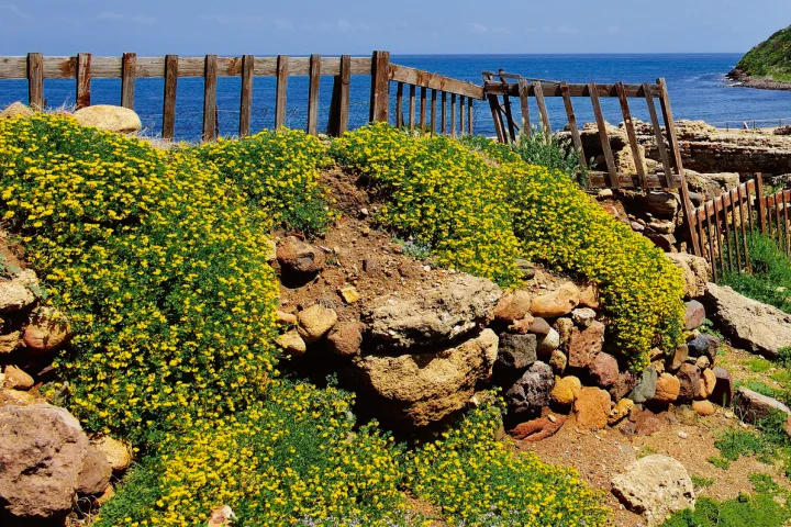 Etappenziel der Veloreise: Pula.