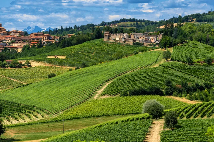 Italienische Landschaft mit Dorf und Weinbergen.