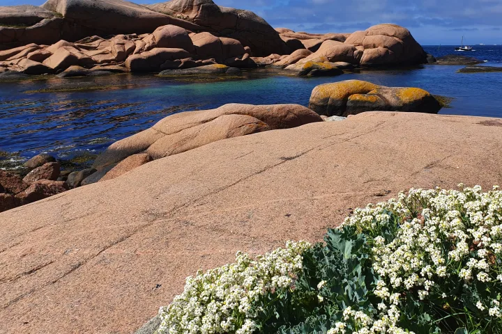 Wanderferien Südschweden