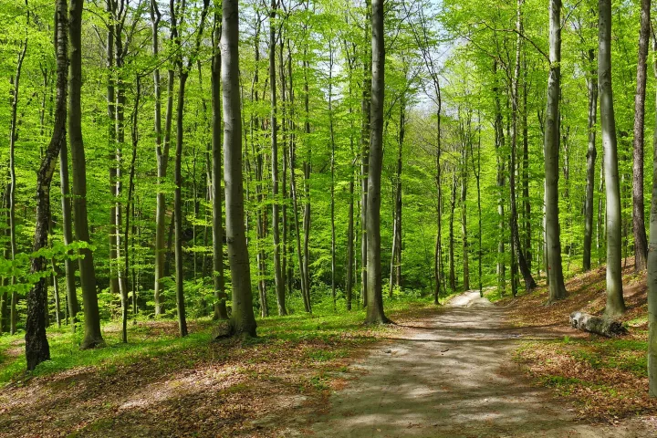 Pilgerweg von Parma bis Massa